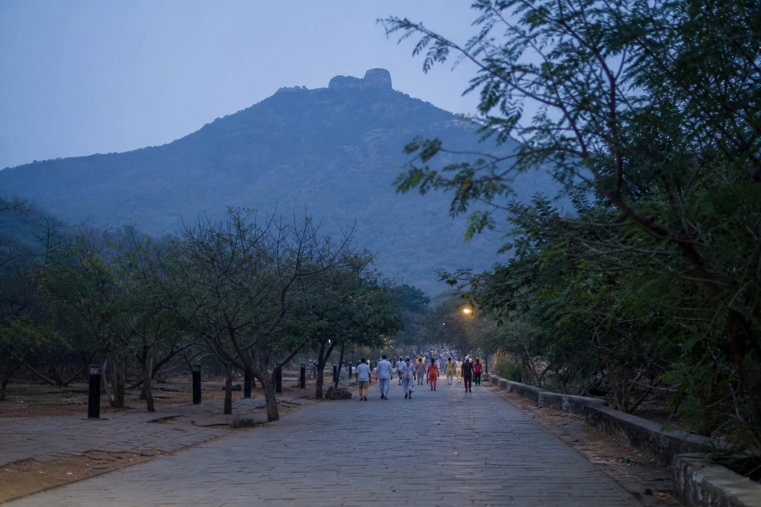 Editorial · Blog Girivalam Dawn Path
